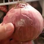 How Long Does An Onion Last In The Fridge?