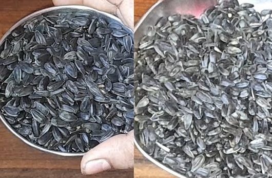 Potential Downsides When Eating the Shells of Sunflower Seeds