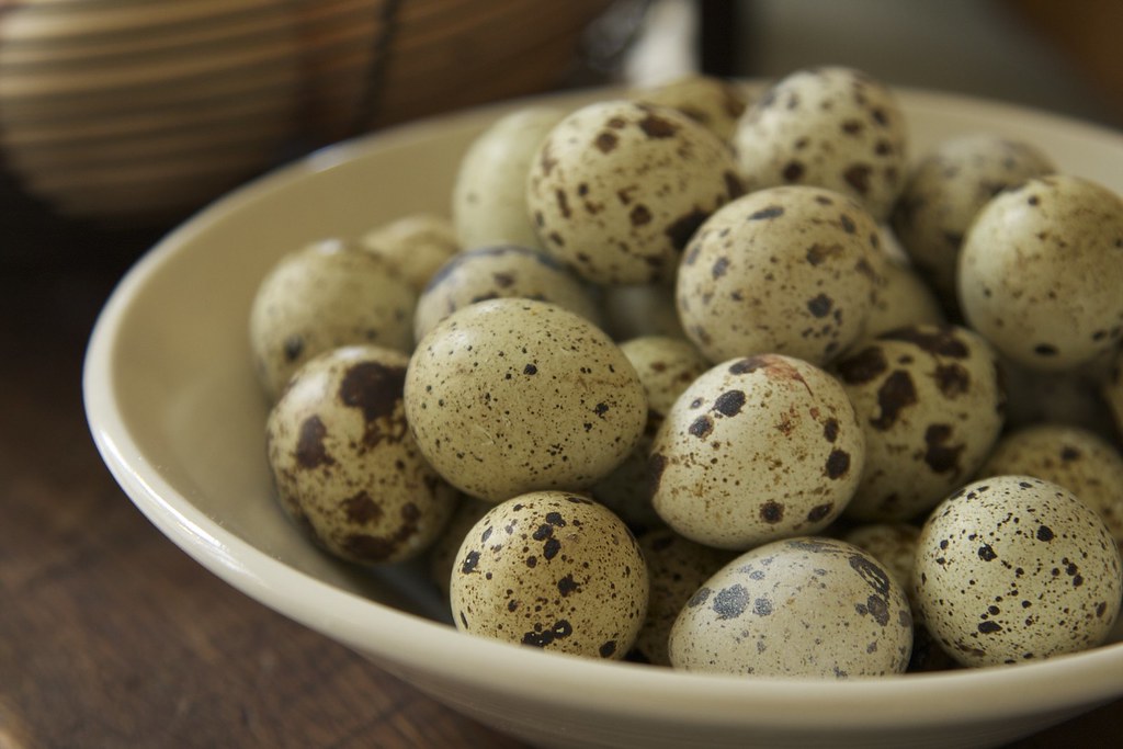 How Long To Boil Quail Eggs | Cooking Perfect Quail Eggs